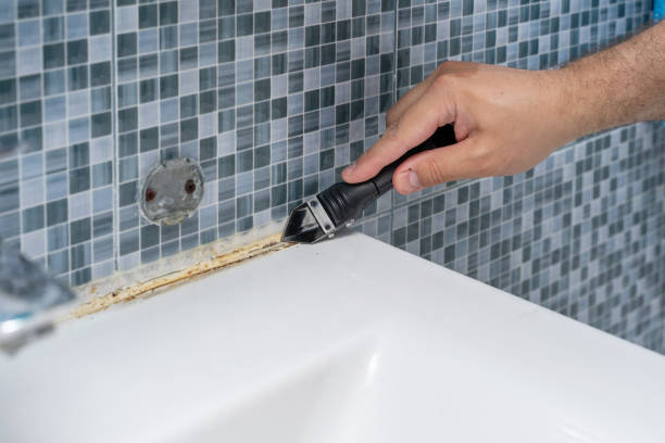 Best Mold Removal Process  in Richlandtown, PA