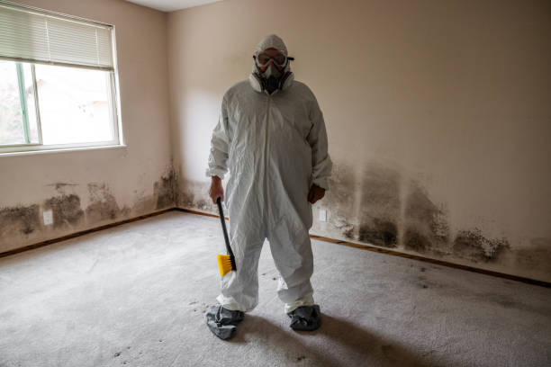 Best Affordable Mold Removal  in Richlandtown, PA