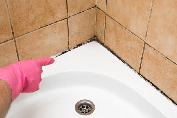 Best Mold Testing  in Richlandtown, PA